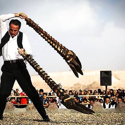 بیل گردانی